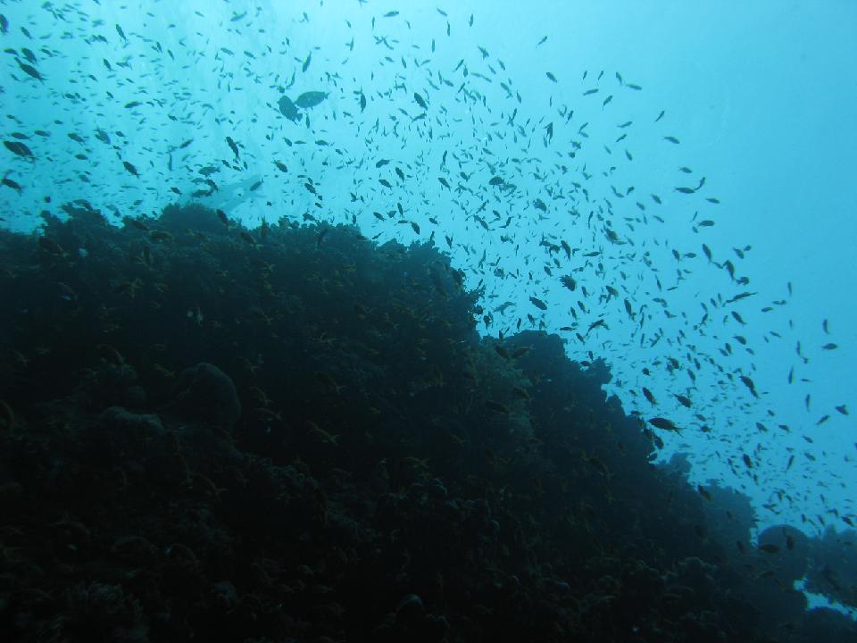 2012_02_16 rotes meer 209.jpg